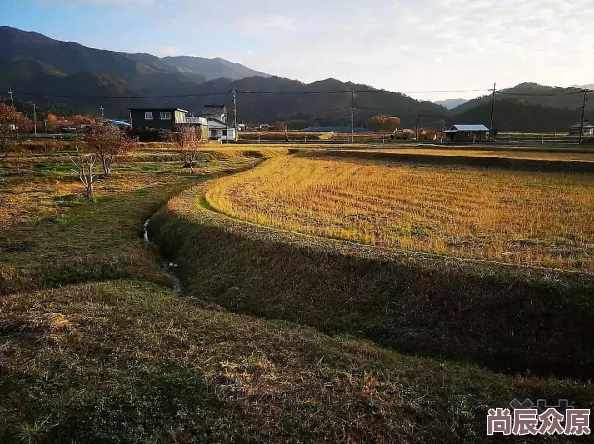 国产三级乡下姝 展现农村风情与淳朴民风的影视作品