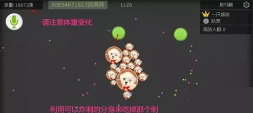 球球大作战玩家必看：高效能降噪功能使用方法全攻略与技巧分享