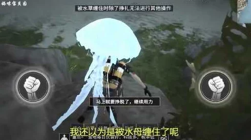 明日之后紫海刺水母获得方法全面介绍：垂钓技巧与地点选择