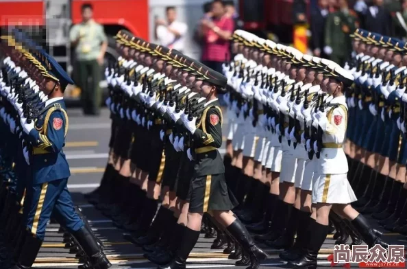 部队教官h训练任务加重学员压力倍增夜间紧急集合测试拉开序幕