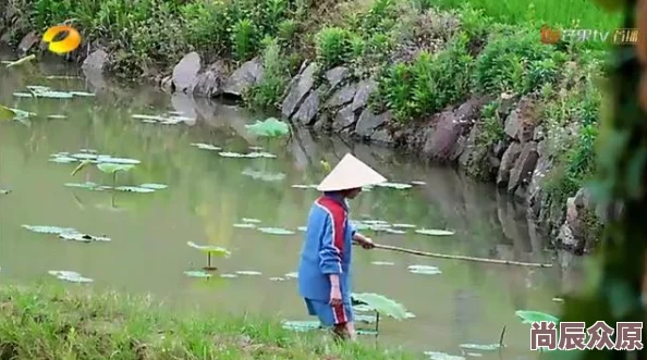 沈樵池塘边的小情侣两人在池塘边散步时无意间发现了一只受伤的小鸟