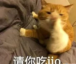 猫咪别追我新手必看！超详细玩法介绍，更有惊喜福利等你来领，速来体验！