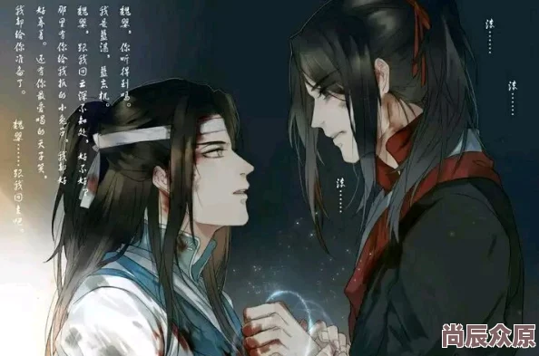 魔道祖师小说未删减版蓝忘机问灵十三载终得一人共白首