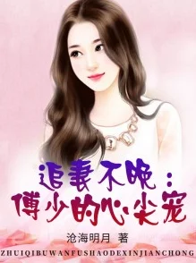 腹黑总裁的心尖宠婚后甜蜜升级总裁开启宠妻狂魔模式