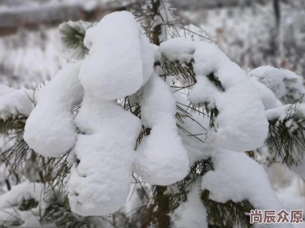 公么在浴室里征服了小雪两人共度浪漫时光，感情升温，互诉衷肠，令人羡慕