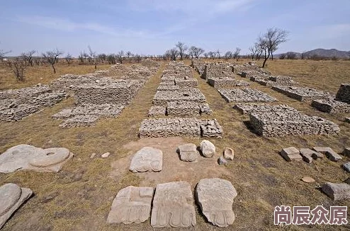 古代辣文h近日考古学家在某遗址发现了保存完好的古代文物，揭示了当时的生活方式与文化。