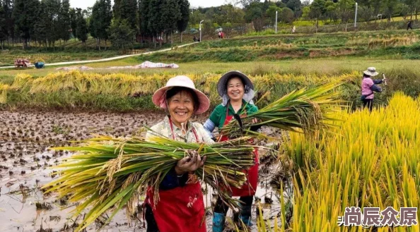 惊喜来袭！第五人格田园秋收节活动全攻略，解锁隐藏玩法赢取丰厚奖励