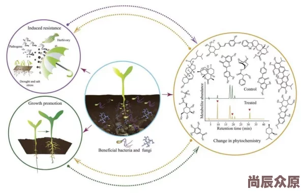 你得太大了我可以尝一下吗近日科学家发现一种新型植物能够在极端环境下生存并提供可再生能源