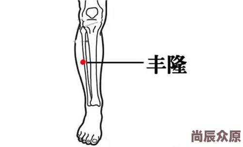 肥岳汁多萍萍受不了老中医妙手回春按摩穴位竟让她欲罢不能重获新生