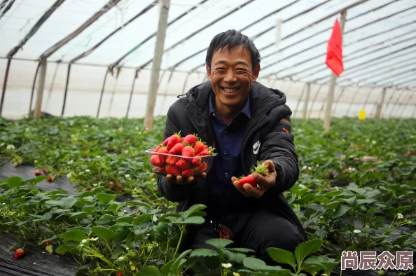 草莓视频链接甜蜜的草莓园采摘之旅