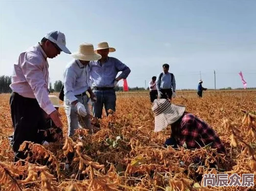 植物大战僵尸杂交版冒险模式71关通关详解，揭秘惊喜新策略助你轻松过关！