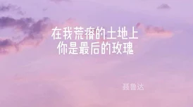 yin乱的日子风波过后，她开始了新的生活，努力寻找平静与幸福