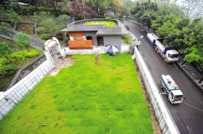 美丽小密挑种植基地建设完成开始试点生产