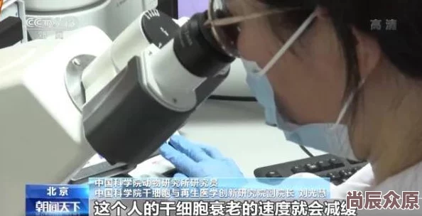 啊嗯啊啊啊科学家发现新型可再生能源技术有望改变未来能源格局