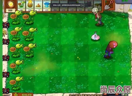 PVZ杂交版迷你游戏僵尸乒乓球惊喜攻略大揭秘：助你轻松过关，解锁隐藏奖励！