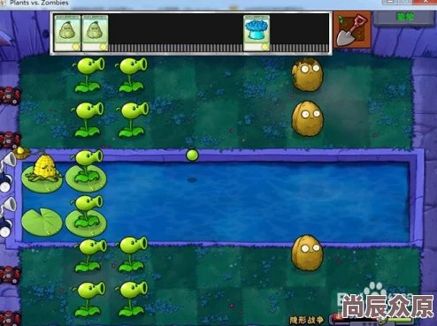 PVZ杂交版迷你游戏大揭秘：满屋蒜香惊喜过关攻略，解锁隐藏关卡秘籍分享！