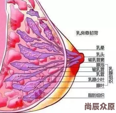 亲胸揉胸膜下刺激视频高画质修复版现已上线新增10分钟未公开片段