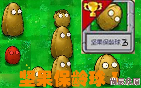 PVZ杂交版迷你游戏大揭秘：坚果保龄球2通关详解，惊喜消息！全新关卡即将解锁！