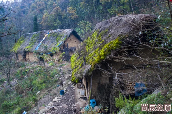 大山里的欲生活平静的村庄迎来了一位神秘的访客打破了往日的宁静