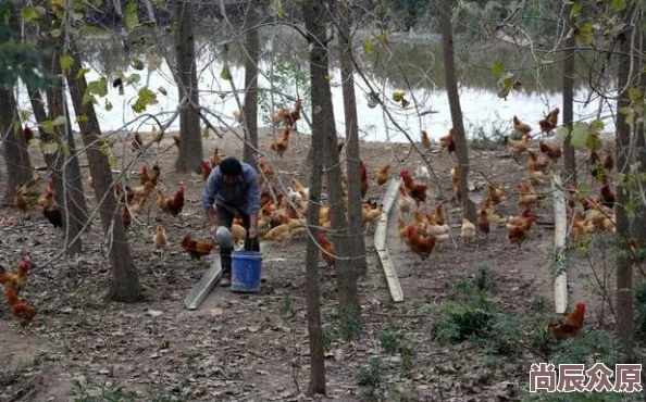 欧美人禽猛交乱配据传闻拍摄地是一处废弃农场附近居民表示从未见过如此景象