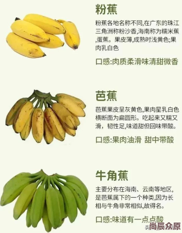 香蕉久久网独家揭秘香蕉新品种皮薄如纸入口即化