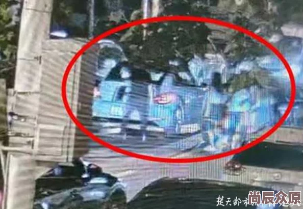 精品无码视频画面模糊音质差剧情老套浪费时间毫无亮点