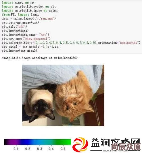 python人狗大战精彩瞬间揭秘程序员与爱犬的爆笑互动日常