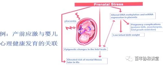 高h文双性内容低俗有害身心健康传播不良信息违反相关规定