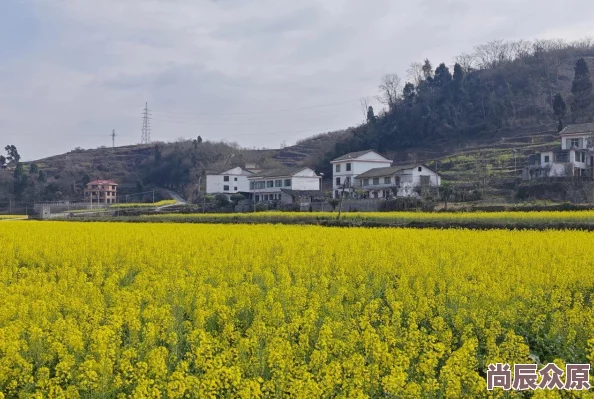 奇迹暖暖：2024热门水晶鞋最新获取与使用全攻略