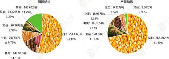 麻豆精产三产区区别各产区特色与最新产品线解析