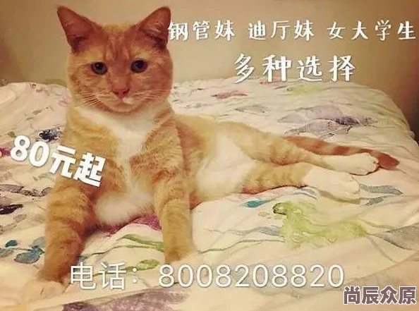 红猫大本猫营点18岁以上疑似传播色情低俗信息违规账号已被举报