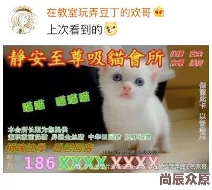 红猫大本猫营点18岁以上疑似传播色情低俗信息违规账号已被举报