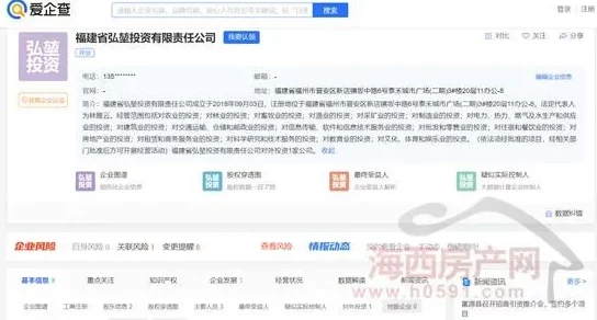 成人网站域名www.chengren.com疑似被神秘买家高价收购引发网友热议