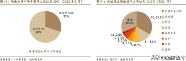 2024热门解析：冒险岛手游武陵道场积分全面获取攻略