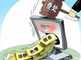 精品91：内容涉及侵犯隐私和传播非法视频的网络平台，存在法律和道德风险