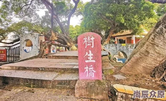 游龙传说全新地图攻略：解锁四大奇景，热门探险任你闯荡