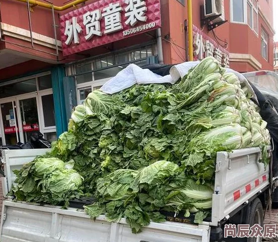 萝卜视频在线高清免费观看画质清晰流畅，资源丰富更新快，观影体验不错