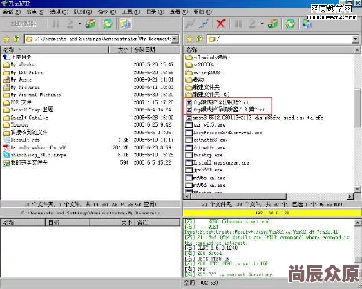 中文无字幕乱码用户反映播放异常画面模糊