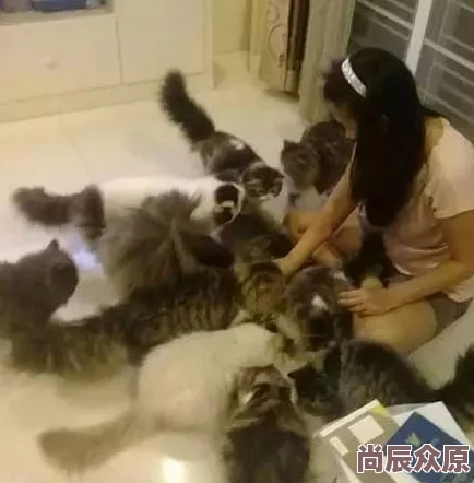 强肉乱公妇听说邻居张婶家的猫半夜总在她家门口徘徊