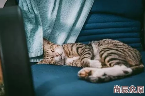 强肉乱公妇听说邻居张婶家的猫半夜总在她家门口徘徊