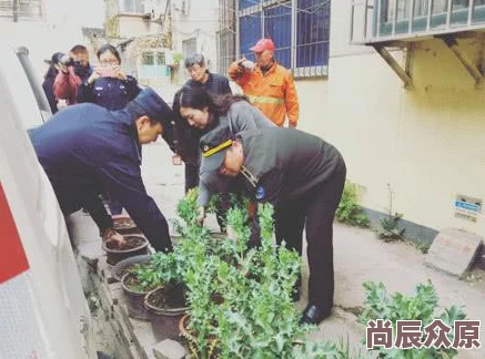 野花社区因为平台安全稳定保护用户隐私所以广受欢迎