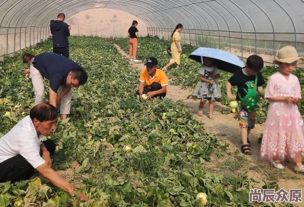 《航海王强者之路》6月17日新服“盛夏启航”iOS活动盛大开启