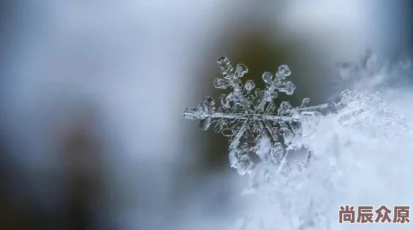 烈火如歌手游：雪职业深度解析与最新热门技能一览