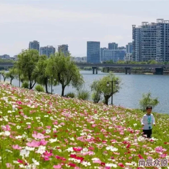 悬空城坐标分享新攻略：热门玩法详解与一键传递技巧