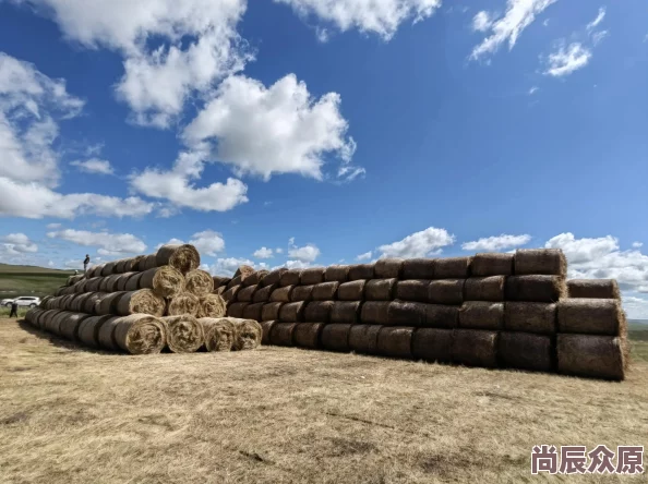 边境之旅物品收纳新技巧：热门攻略助你高效腾出大空间