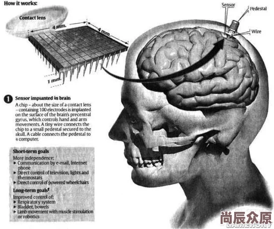 模特Xxxx偷拍私拍2025脑机接口技术读取记忆引恐慌