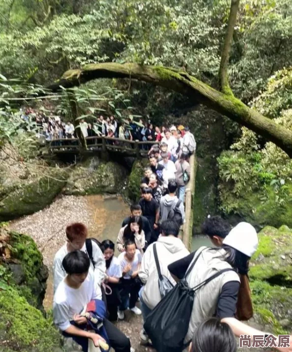 爽好舒服快给老师特种兵式旅游火爆小红书大学生纷纷效仿