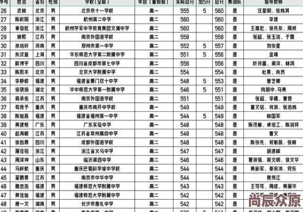 超进化物语2024最新热门阵容搭配汇总：五大流派顶尖组合解析