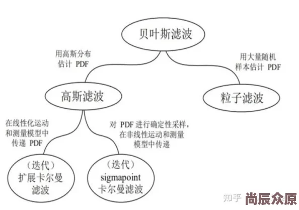 深度解析同伴培养策略与技能树发展详解